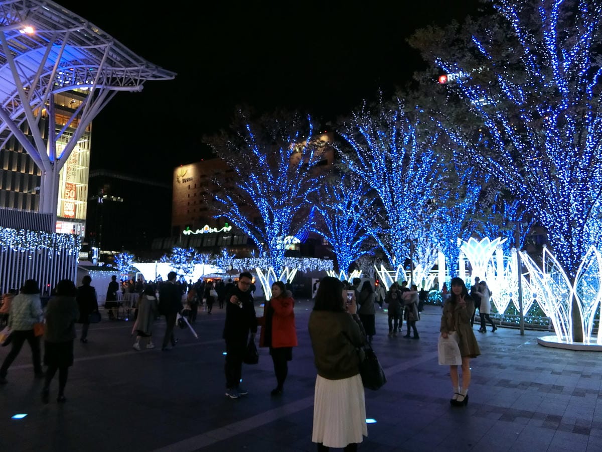 CIMG2735.JPG CIMG2735.JPG