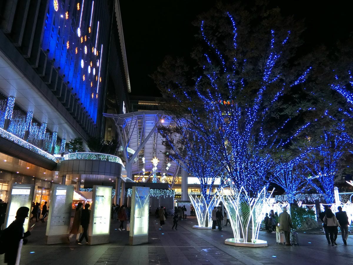 CIMG2731.JPG CIMG2731.JPG