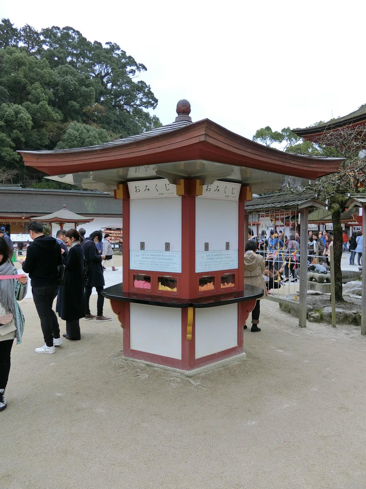 CIMG2873.JPG CIMG2873.JPG