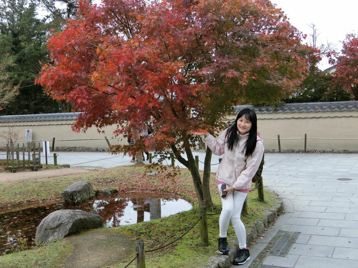 CIMG2846.JPG CIMG2846.JPG