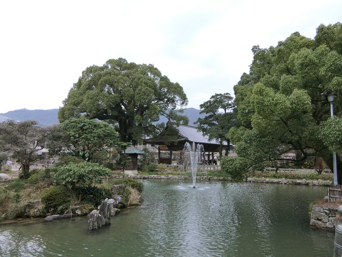 CIMG2857.JPG CIMG2857.JPG