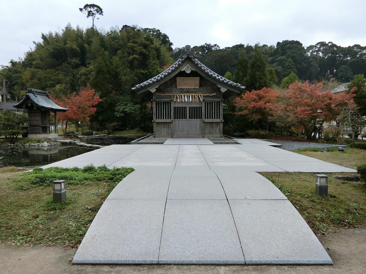 CIMG2845.JPG CIMG2845.JPG