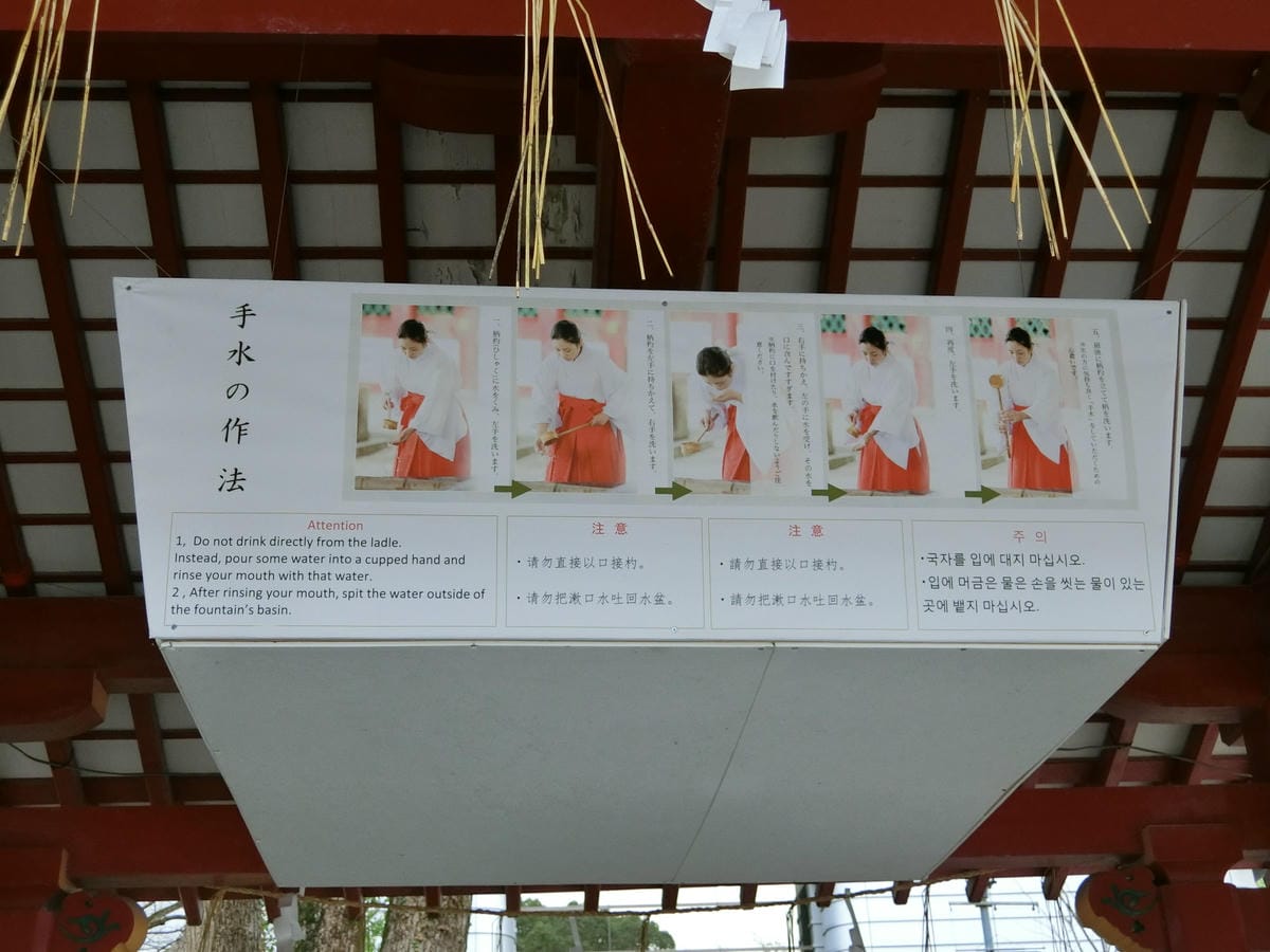 CIMG2863.JPG CIMG2863.JPG