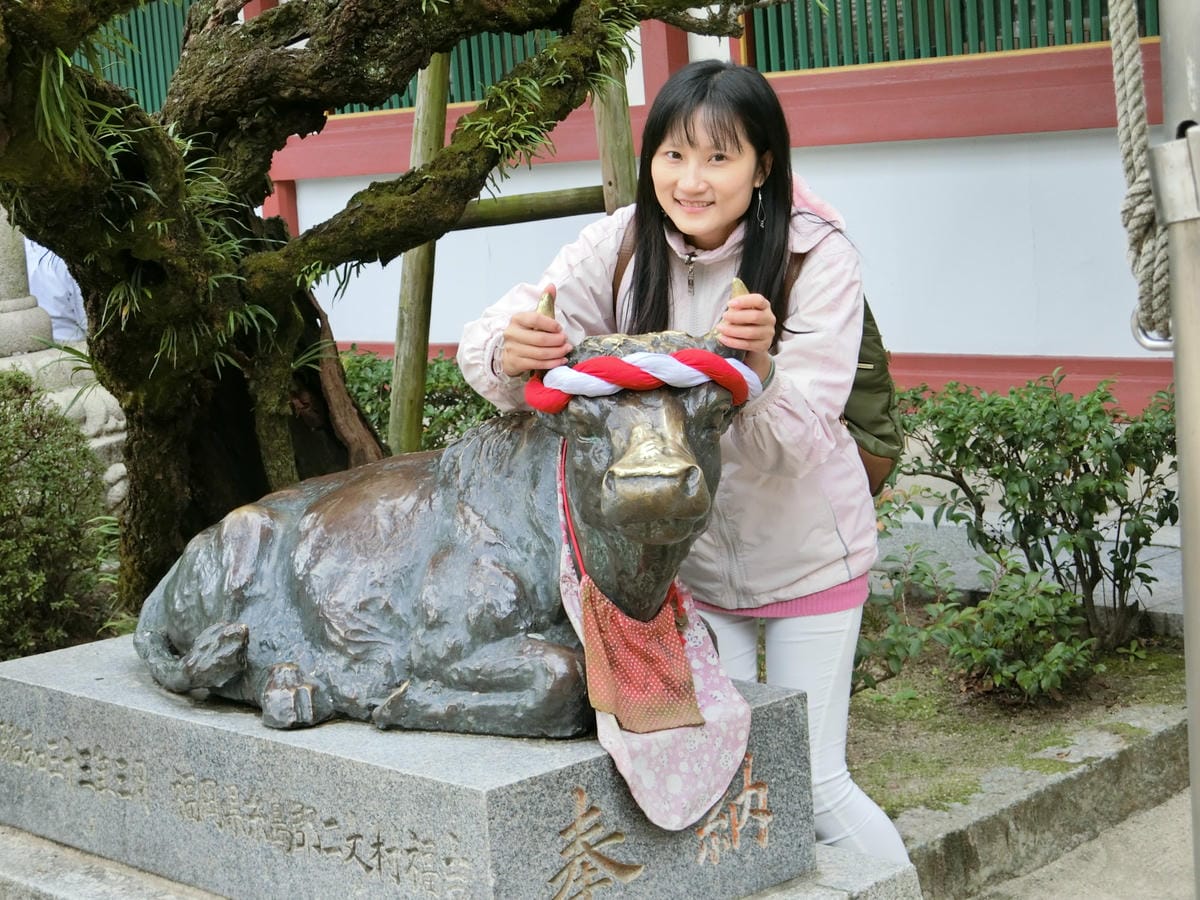 CIMG2878.JPG CIMG2878.JPG