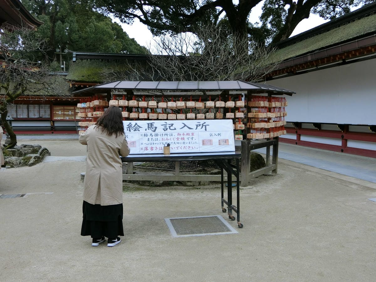 CIMG2872.JPG CIMG2872.JPG