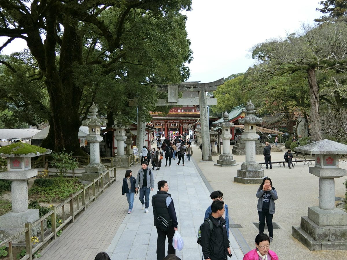 CIMG2858.JPG CIMG2858.JPG