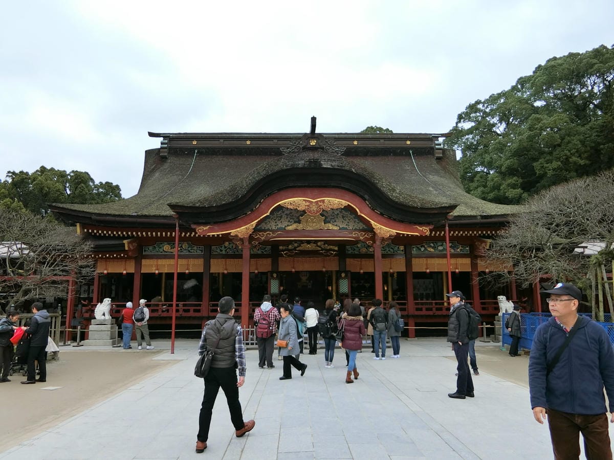 CIMG2864.JPG CIMG2864.JPG