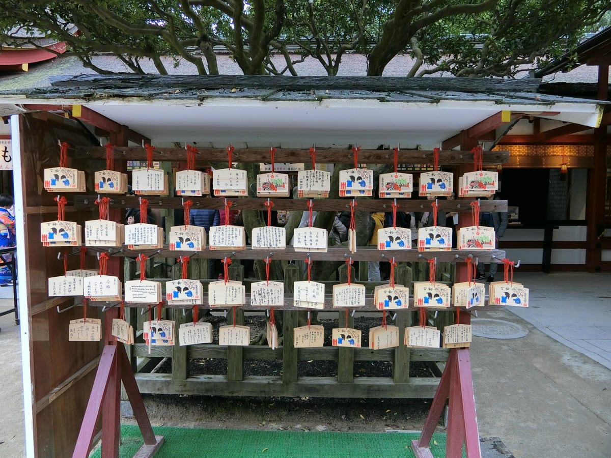 CIMG2867.JPG CIMG2867.JPG