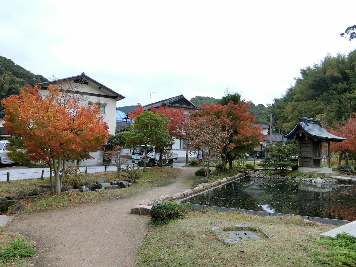 CIMG2844.JPG CIMG2844.JPG