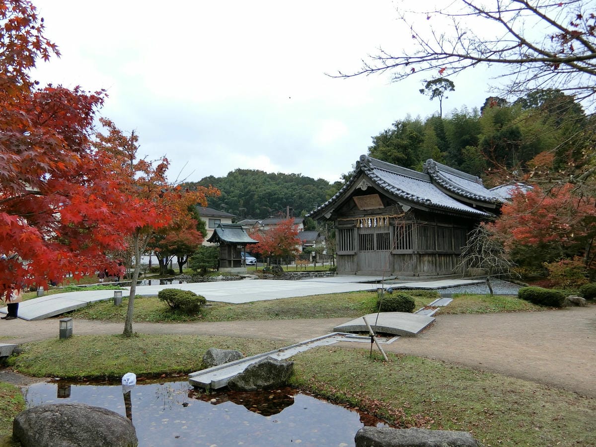 CIMG2842.JPG CIMG2842.JPG