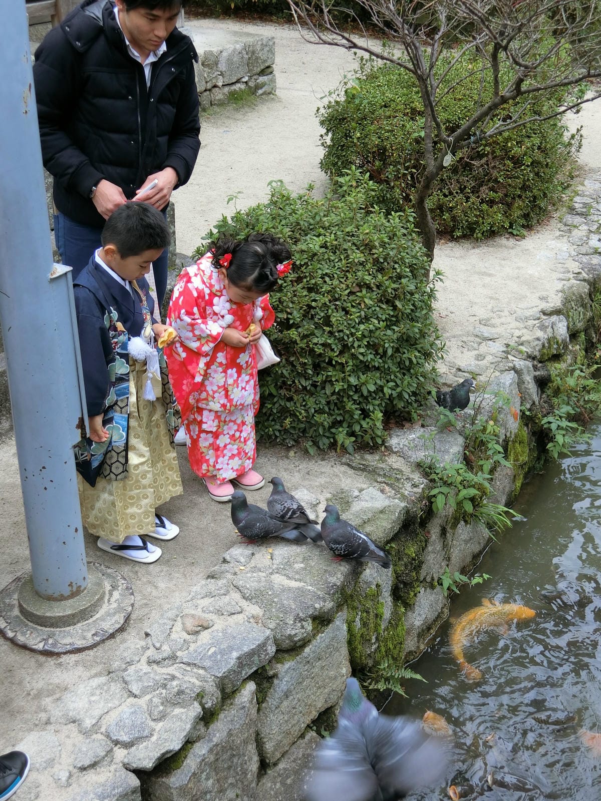 CIMG2855.JPG CIMG2855.JPG