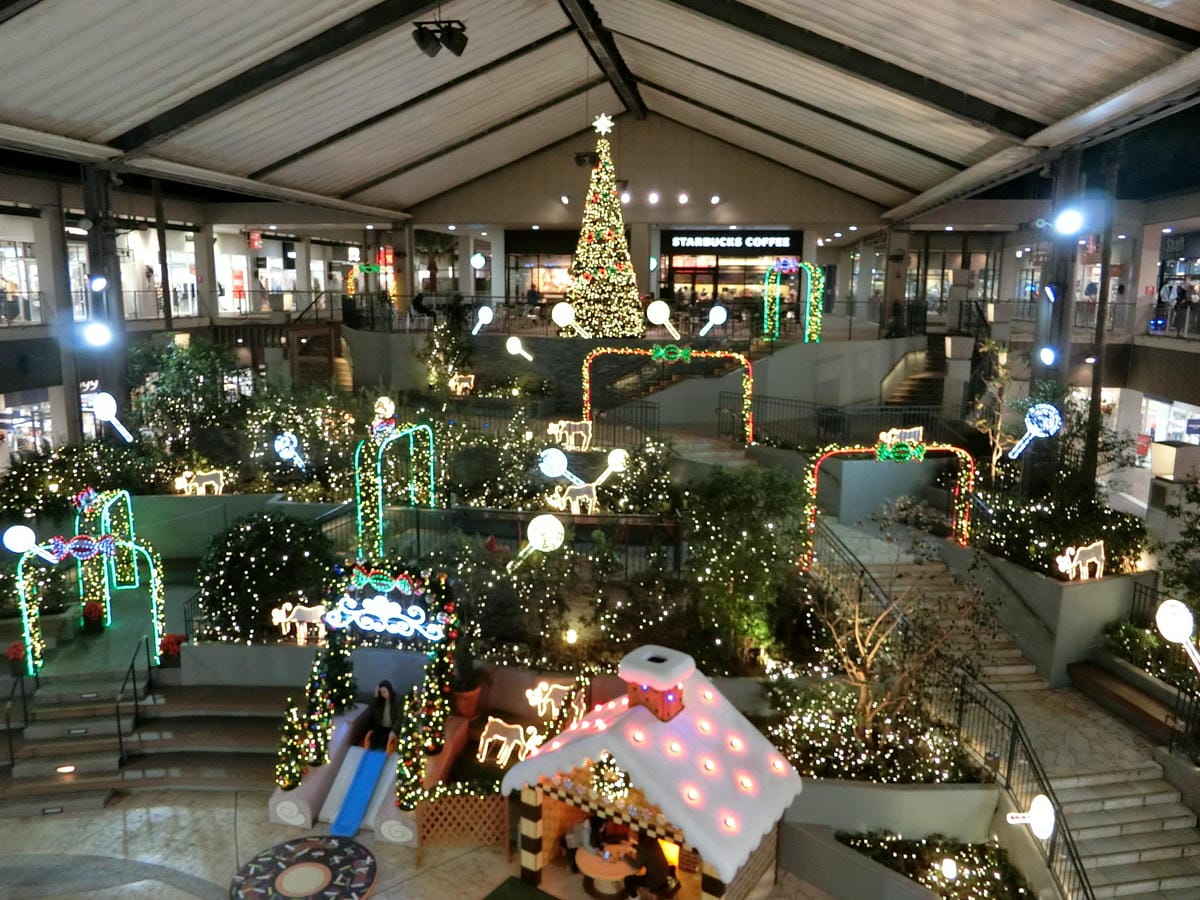 CIMG2937.JPG CIMG2937.JPG