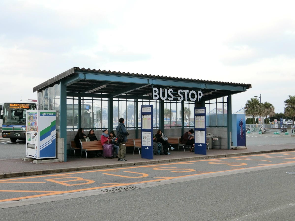 CIMG2913.JPG CIMG2913.JPG