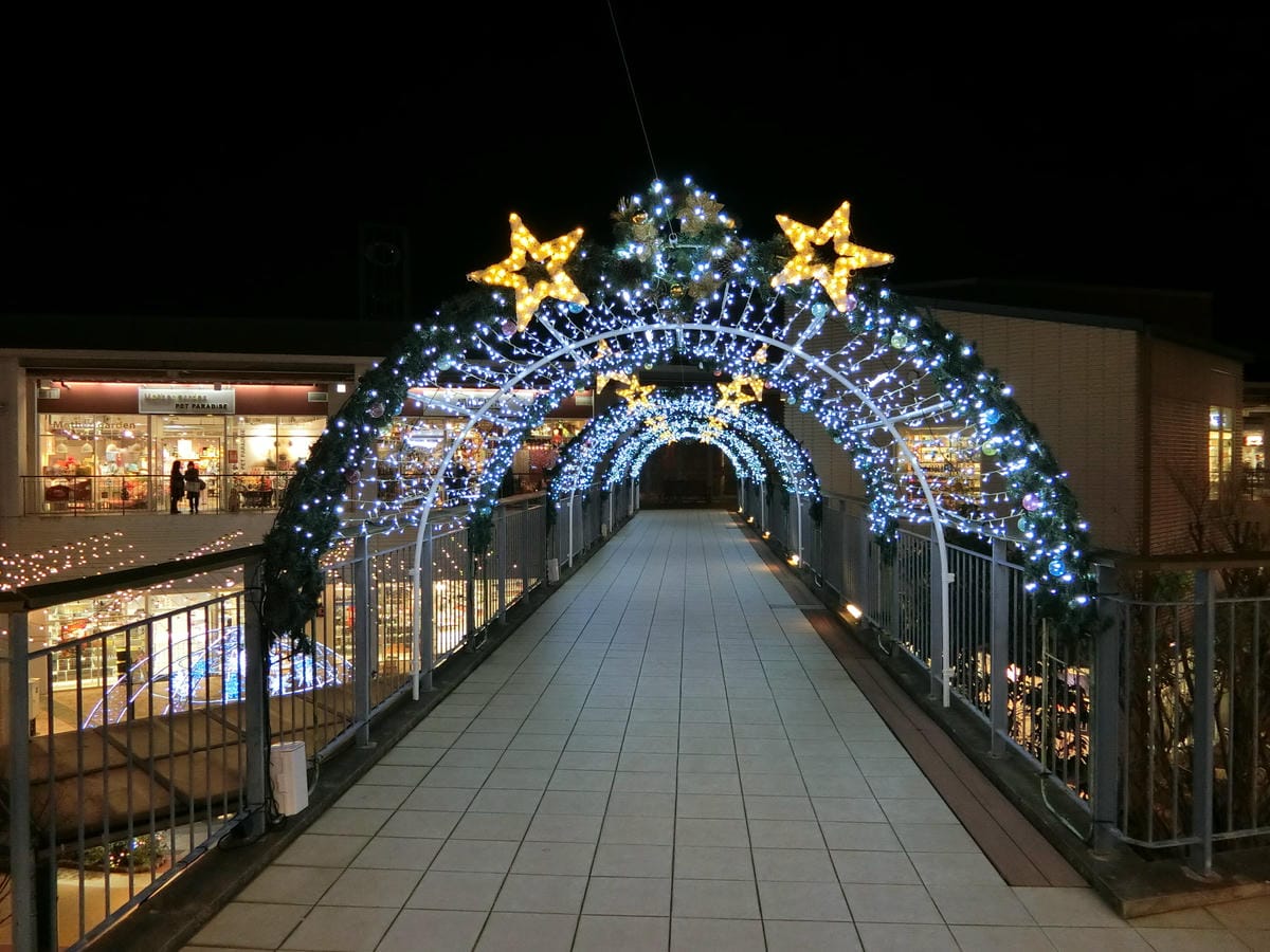 CIMG2932.JPG CIMG2932.JPG