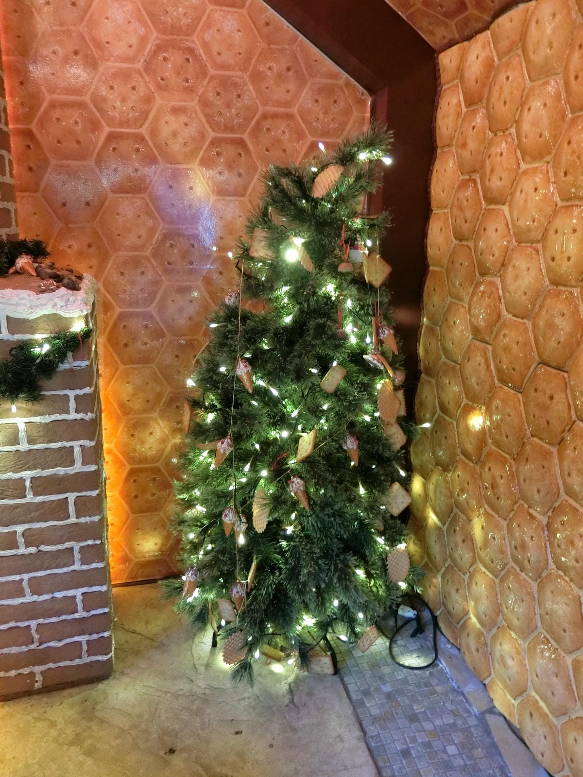 CIMG2924.JPG CIMG2924.JPG