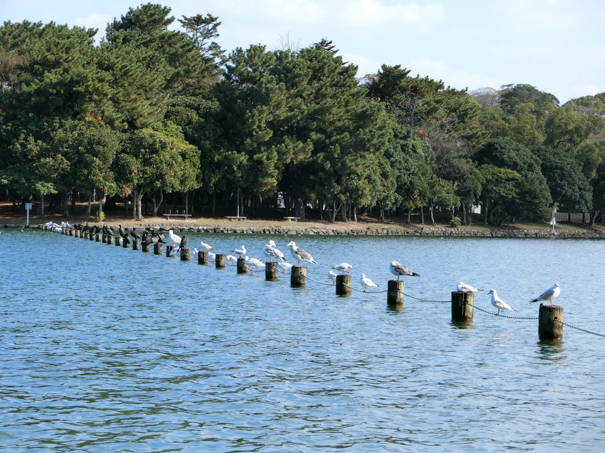 CIMG3032.JPG CIMG3032.JPG