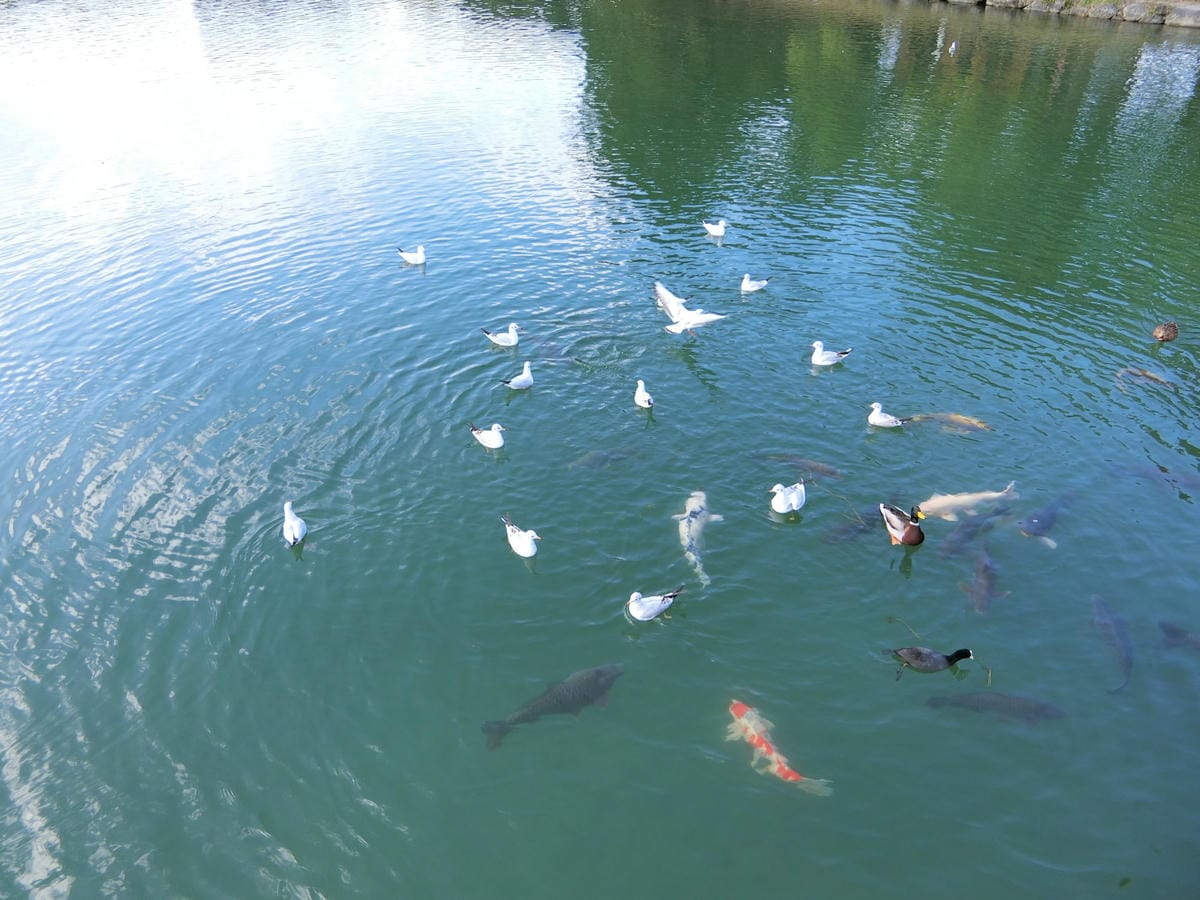 CIMG3011.JPG CIMG3011.JPG