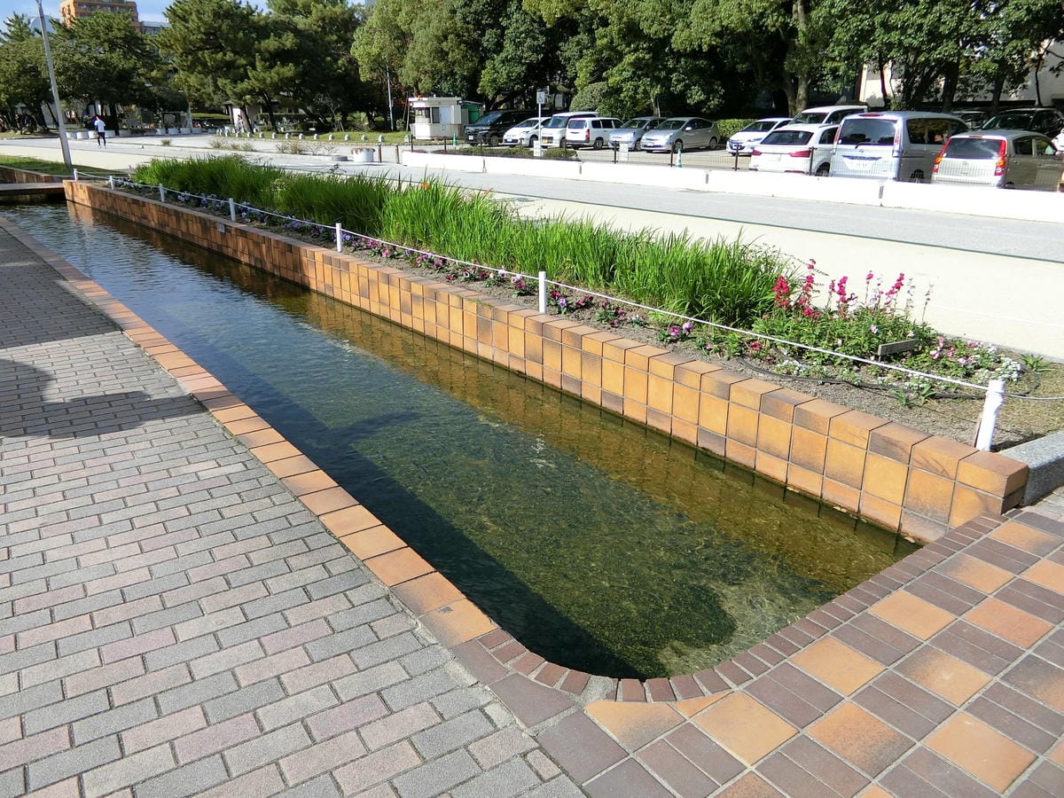 CIMG3002.JPG CIMG3002.JPG