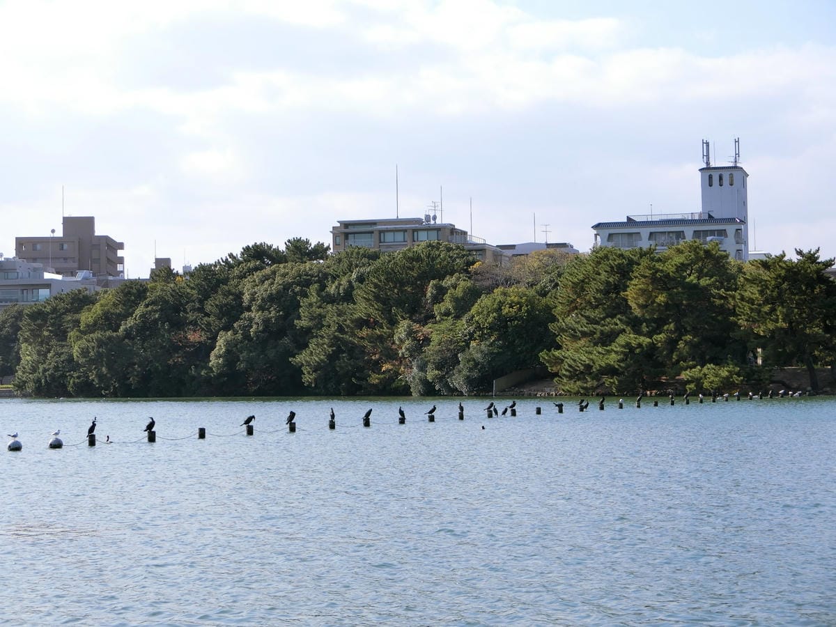 CIMG3030.JPG CIMG3030.JPG