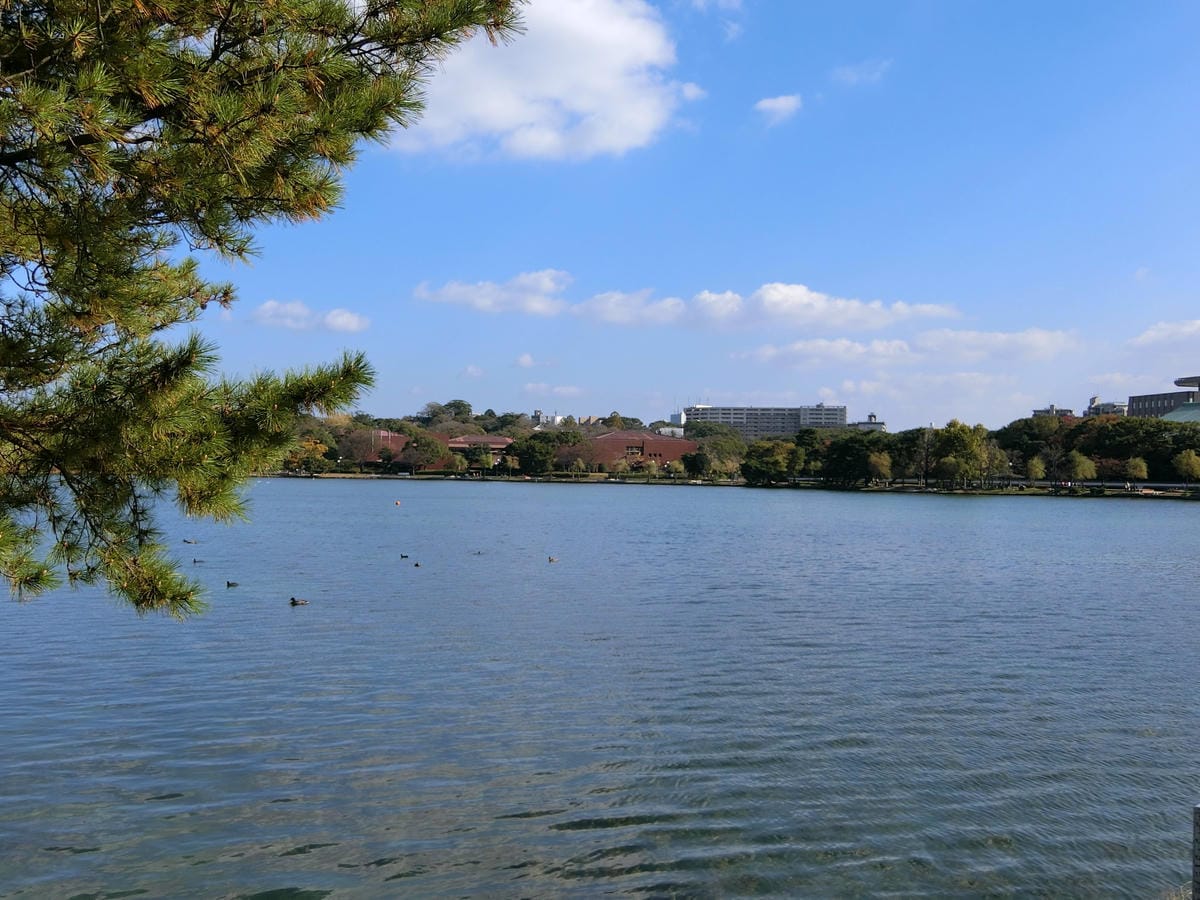 CIMG3042.JPG CIMG3042.JPG