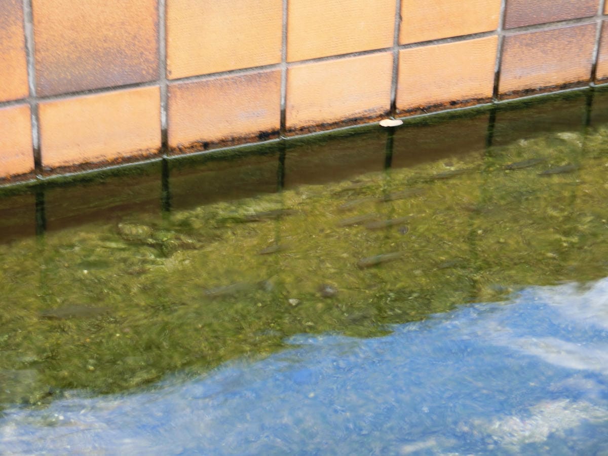 CIMG3003.JPG CIMG3003.JPG