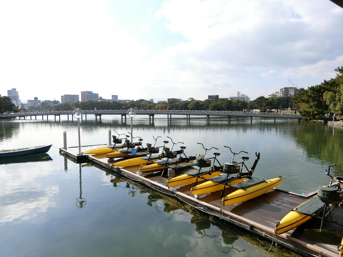 CIMG3001.JPG CIMG3001.JPG