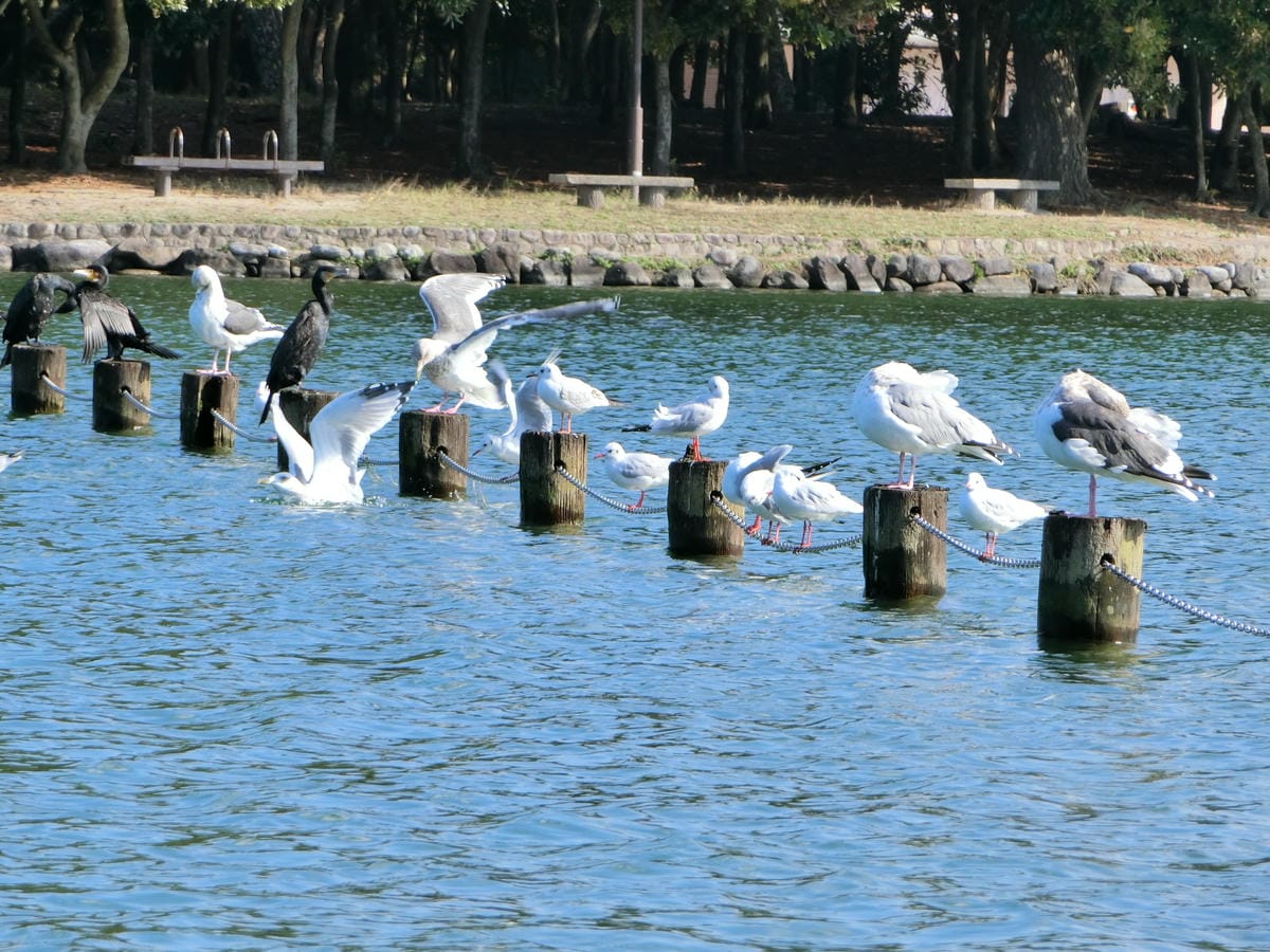 CIMG3035.JPG CIMG3035.JPG