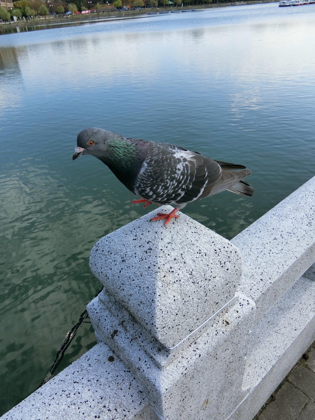 CIMG3008.JPG CIMG3008.JPG