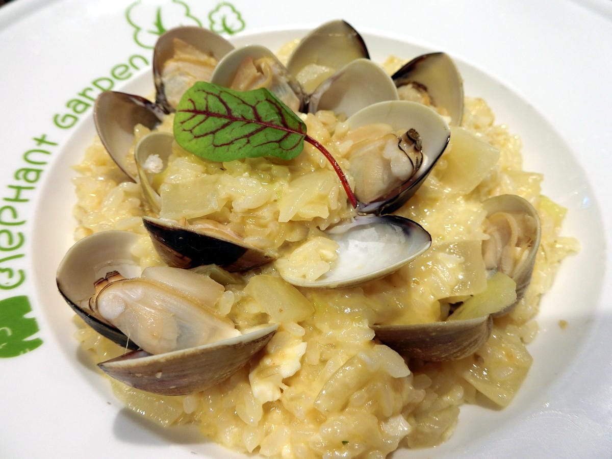 CIMG3177.JPG CIMG3177.JPG