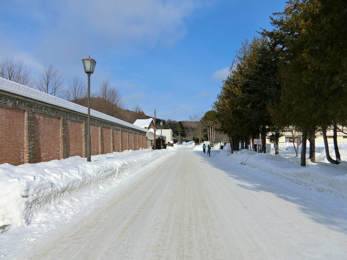 CIMG0943.JPG CIMG0943.JPG