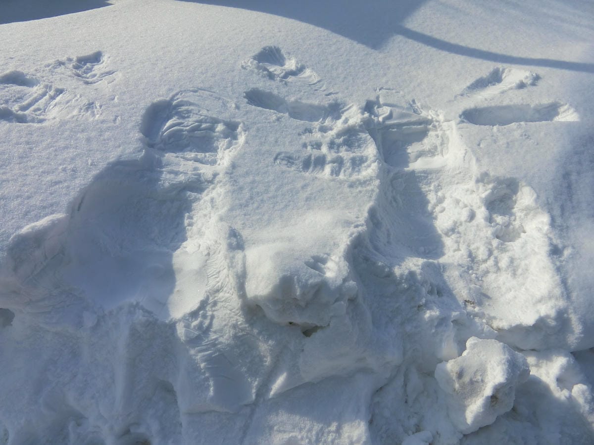 CIMG0984.JPG CIMG0984.JPG