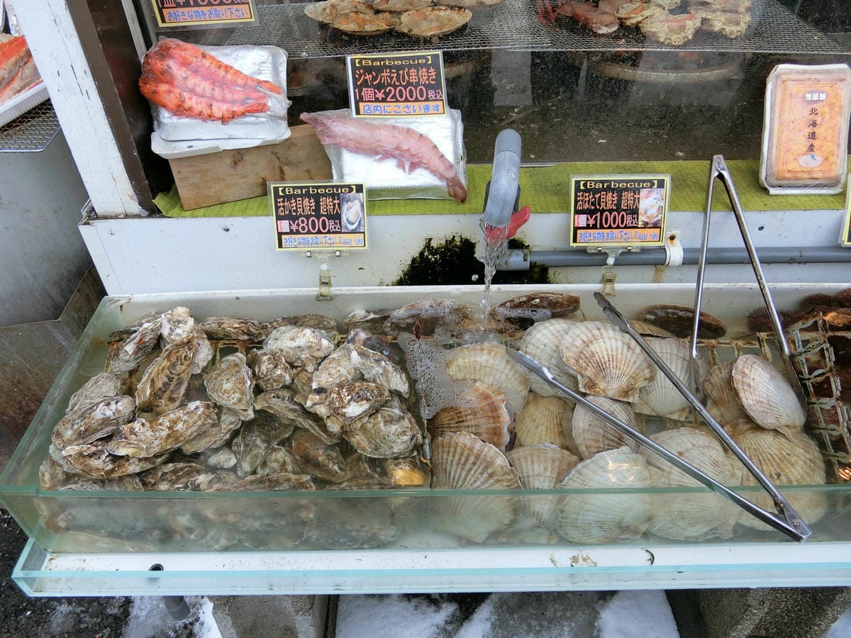 CIMG1269.JPG CIMG1269.JPG