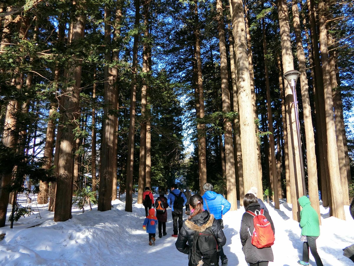 CIMG1479.JPG CIMG1479.JPG