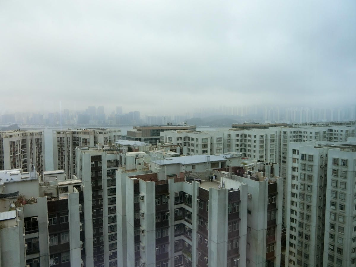 CIMG2249.JPG CIMG2249.JPG