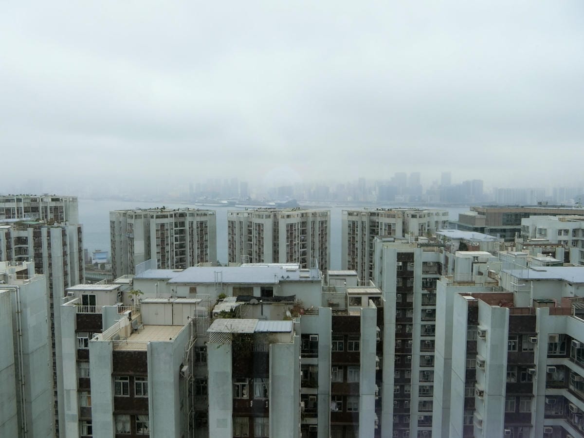 CIMG2248.JPG CIMG2248.JPG