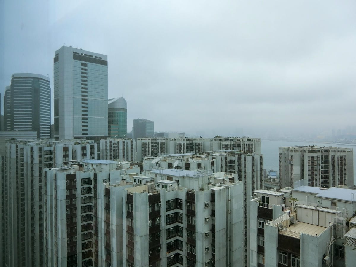 CIMG2250.JPG CIMG2250.JPG