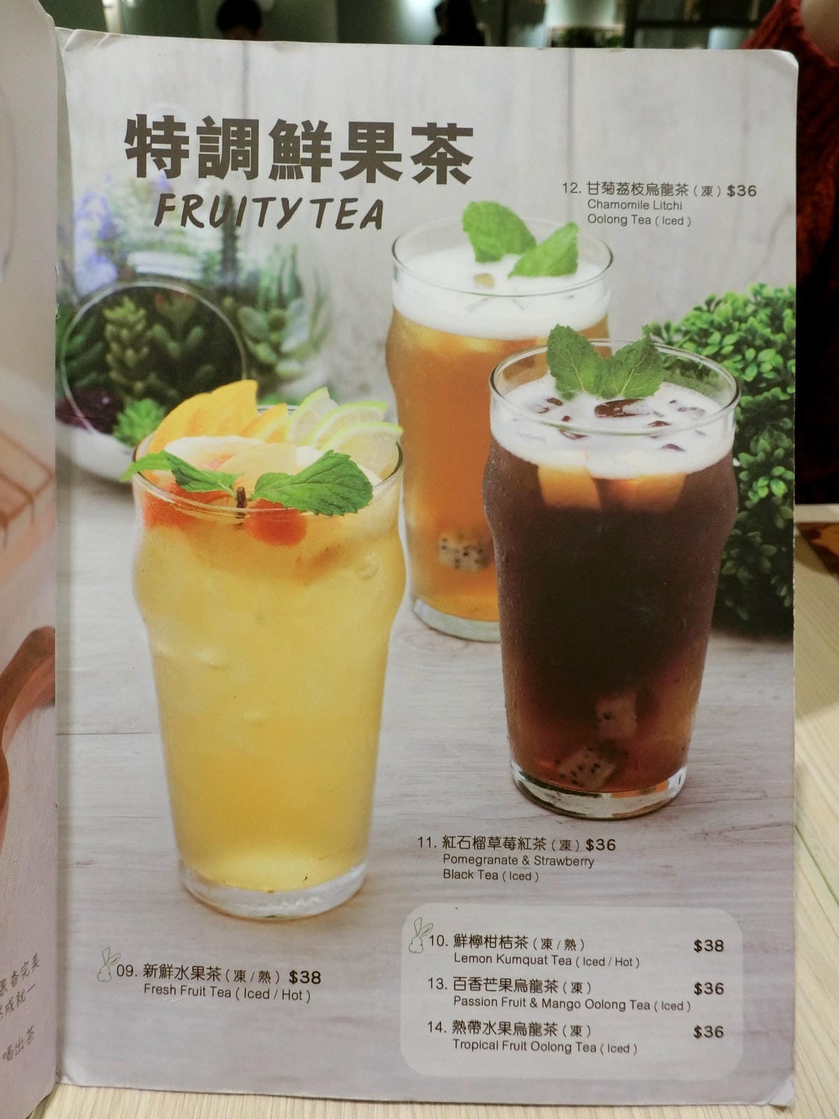 CIMG2329.JPG CIMG2329.JPG