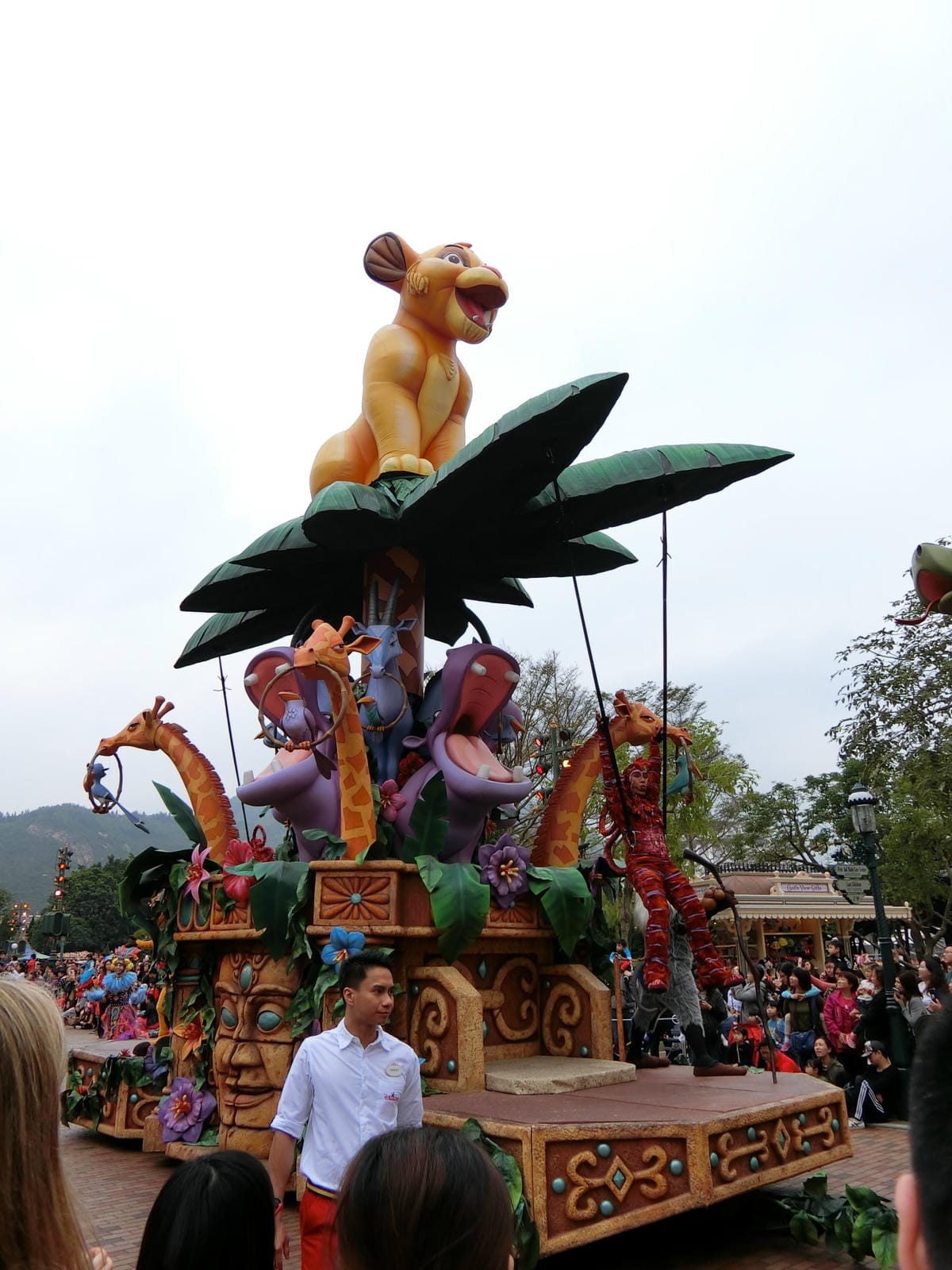 CIMG2504.JPG CIMG2504.JPG