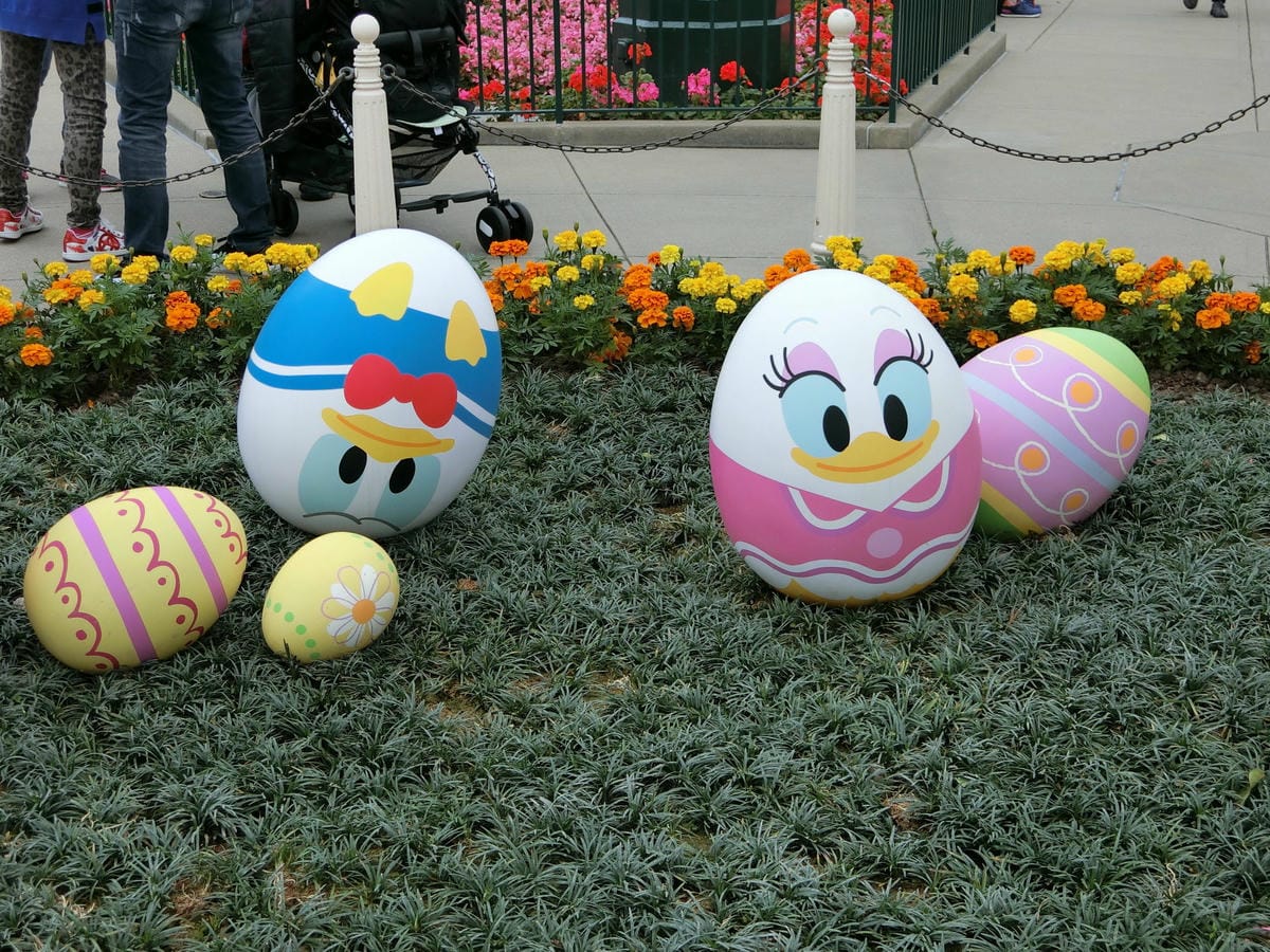 CIMG2525.JPG CIMG2525.JPG