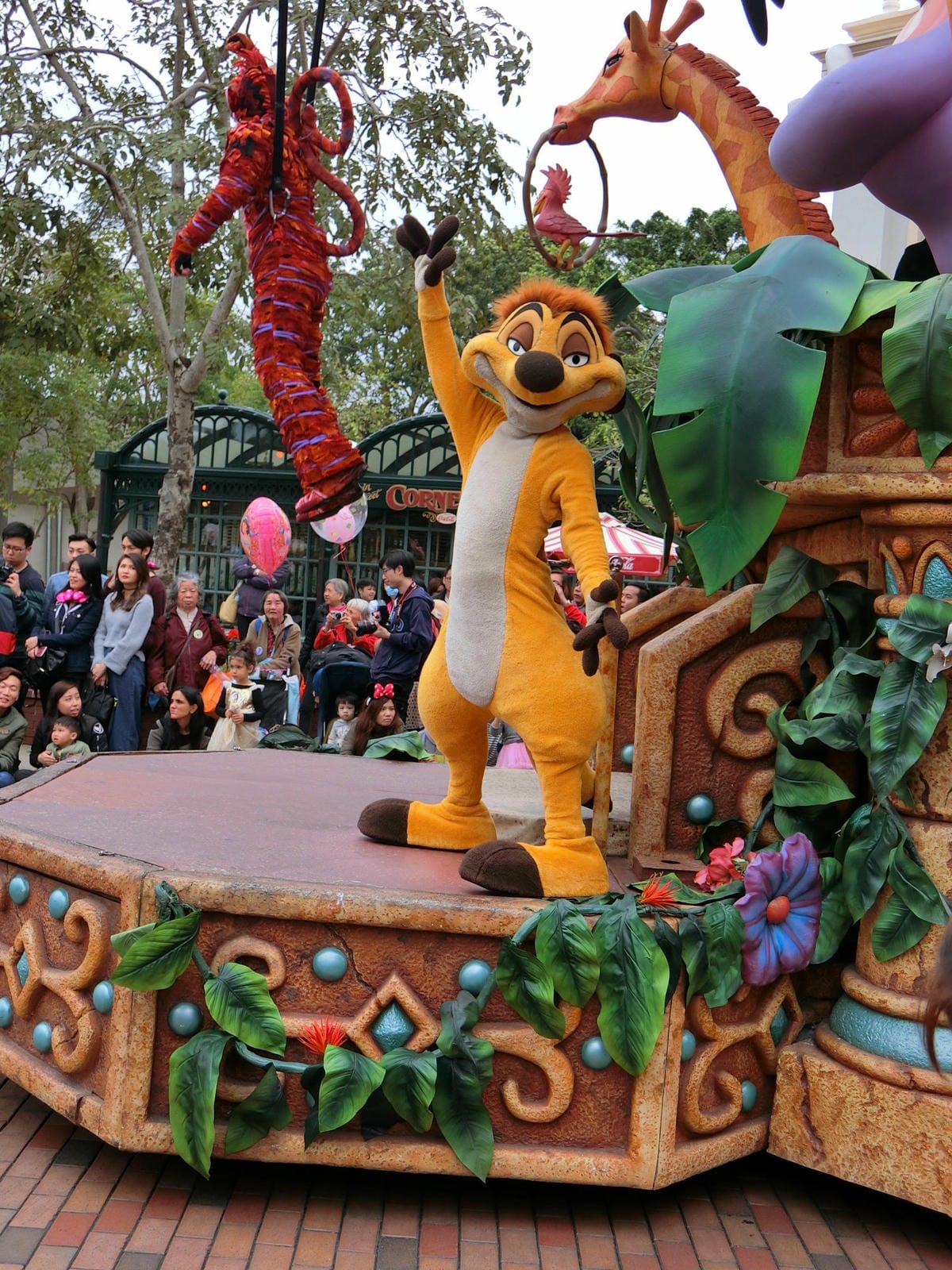 CIMG2505.JPG CIMG2505.JPG