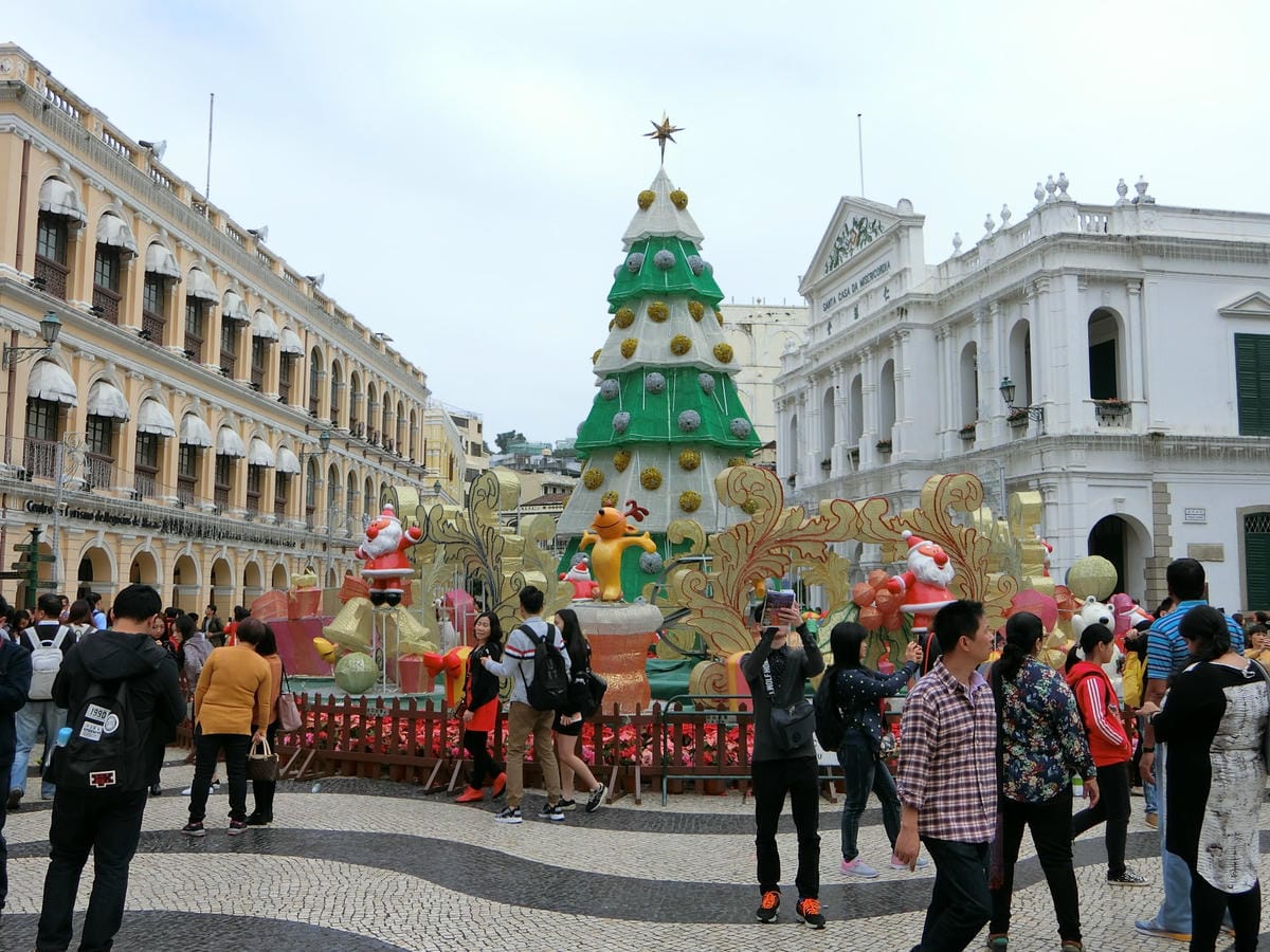 CIMG0038.JPG CIMG0038.JPG