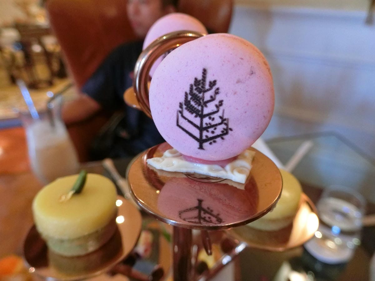 CIMG6017.JPG CIMG6017.JPG