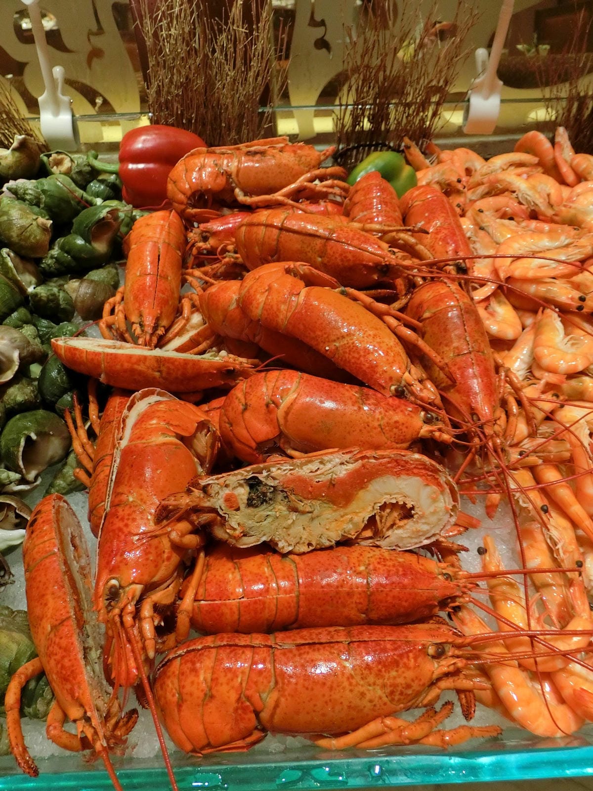 CIMG6067.JPG CIMG6067.JPG