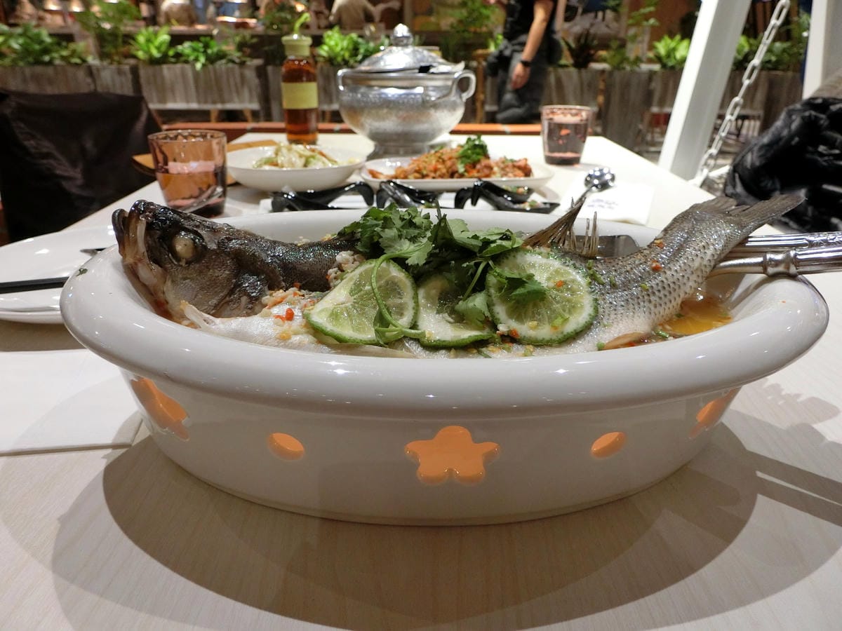 CIMG6907.JPG CIMG6907.JPG