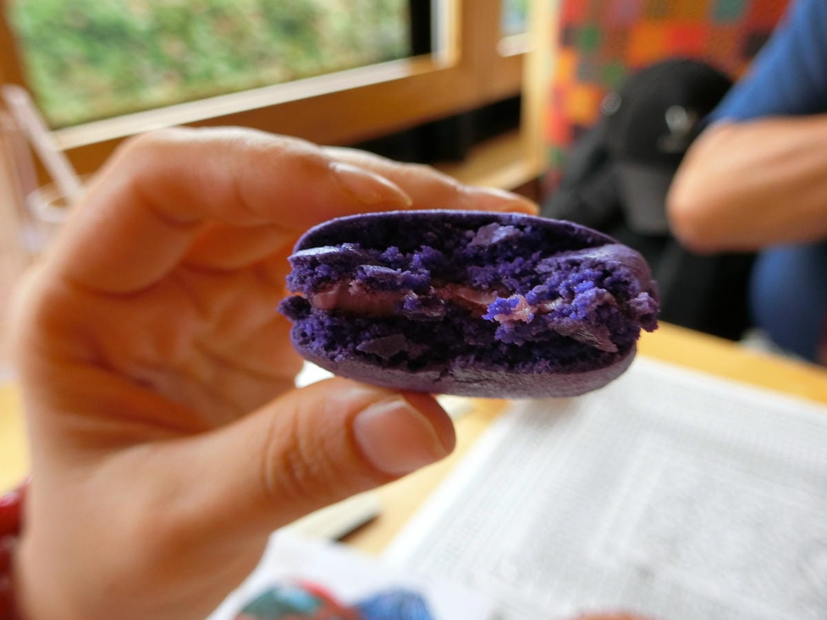 CIMG2926.JPG CIMG2926.JPG