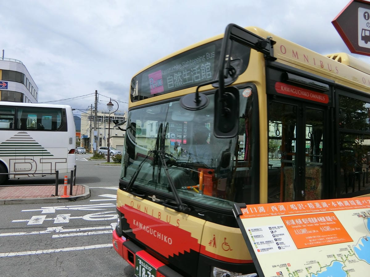 CIMG2955.JPG CIMG2955.JPG