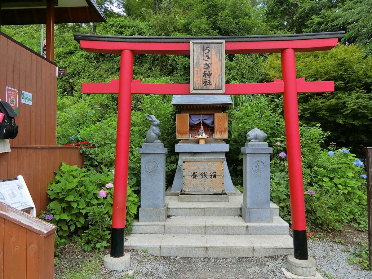 CIMG2992.JPG CIMG2992.JPG