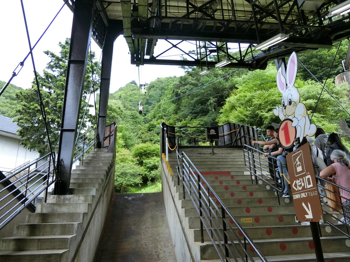 CIMG2961.JPG CIMG2961.JPG