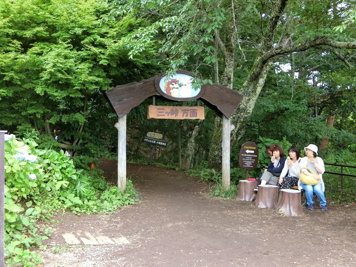 CIMG2993.JPG CIMG2993.JPG