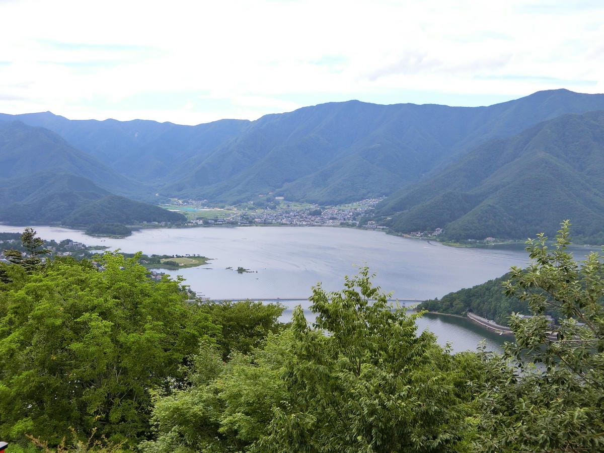 CIMG2978.JPG CIMG2978.JPG